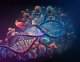 Co je epigenetika?