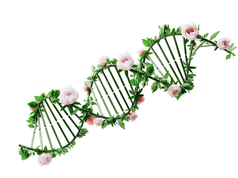 Naše potravinové doplňky neléčí ale opravují.